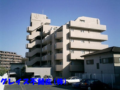 6461画像