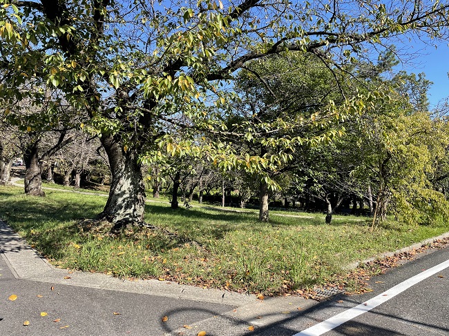 三崎水辺公園（豊明市三崎町）