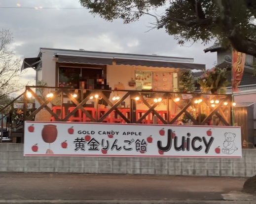 豊明　りんご飴　juicy